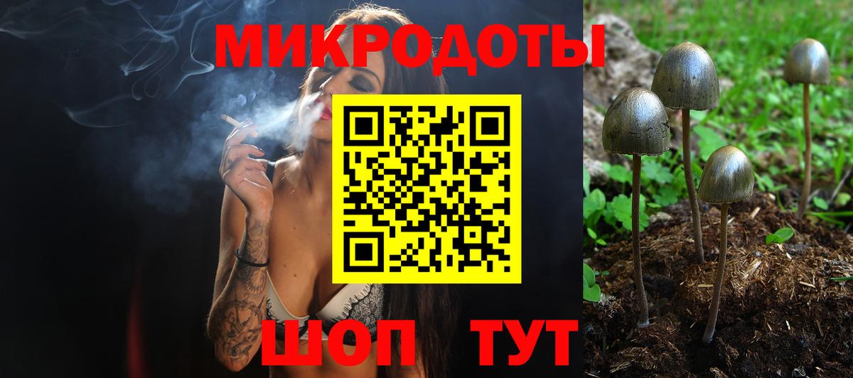 Псилоцибиновые грибы мицелий  Вход с VPN  Сибай 