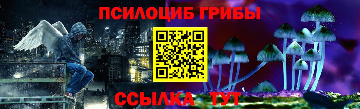 Псилоцибиновые грибы MAGIC MUSHROOMS Сибай